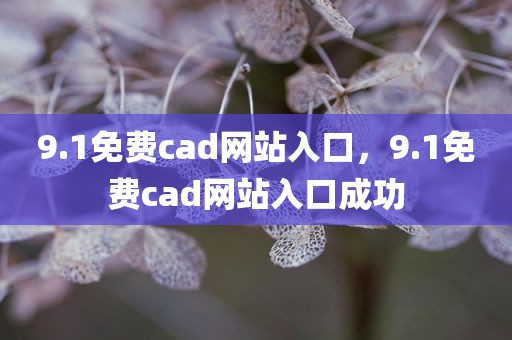 9.1免费cad网站入口，9.1免费cad网站入口成功