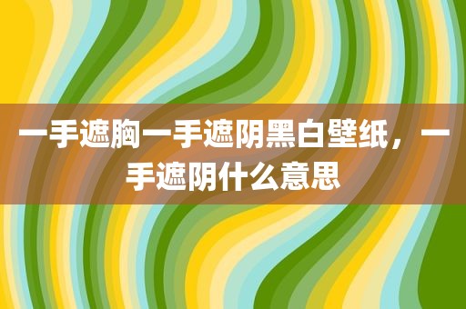 一手遮胸一手遮阴黑白壁纸，一手遮阴什么意思