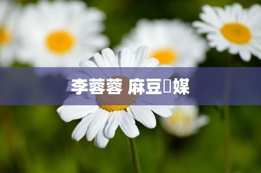 李蓉蓉 麻豆傳媒