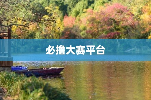 必撸大赛平台