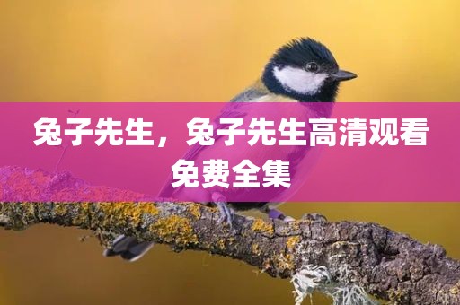 兔子先生，兔子先生高清观看免费全集