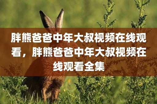 胖熊爸爸中年大叔视频在线观看，胖熊爸爸中年大叔视频在线观看全集