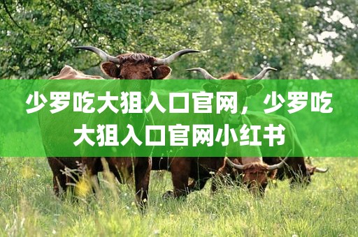 少罗吃大狙入口官网，少罗吃大狙入口官网小红书