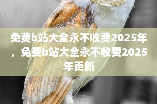 免费b站大全永不收费2025年，免费b站大全永不收费2025年更新