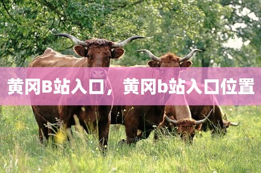 黄冈B站入口，黄冈b站入口位置