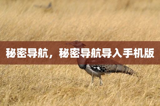 秘密导航，秘密导航导入手机版