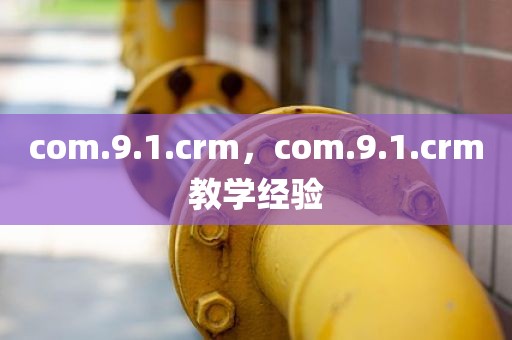 com.9.1.crm，com.9.1.crm教学经验