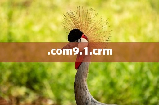 .com9.1.crm