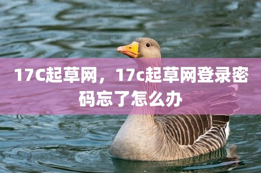 17C起草网，17c起草网登录密码忘了怎么办