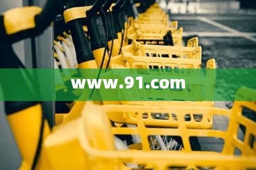 www.91.com