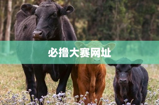 必撸大赛网址