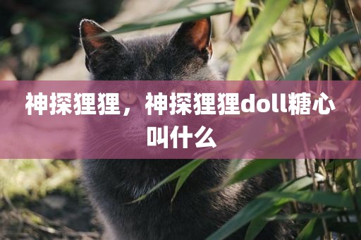 神探狸狸，神探狸狸doll糖心叫什么