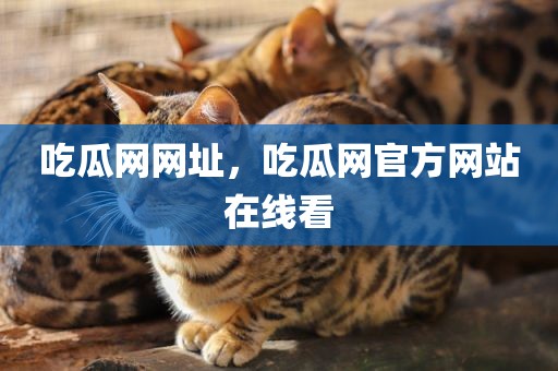 吃瓜网网址，吃瓜网官方网站在线看