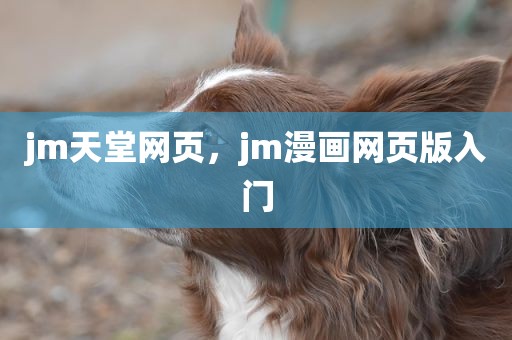 jm天堂网页，jm漫画网页版入门
