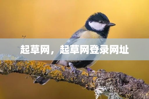 起草网，起草网登录网址