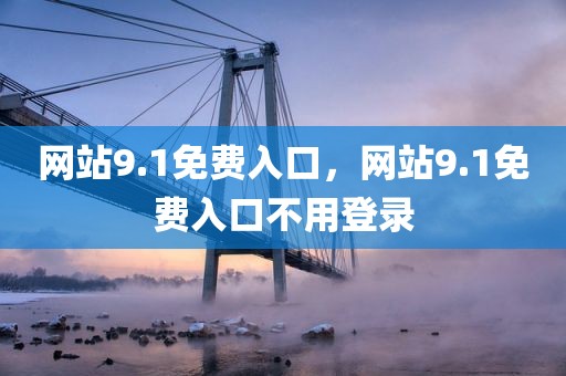 网站9.1免费入口，网站9.1免费入口不用登录