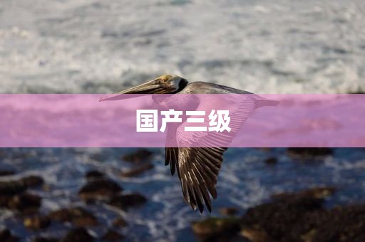 国产三级