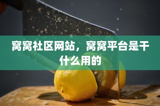 窝窝社区网站，窝窝平台是干什么用的