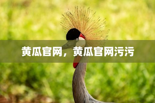 黄瓜官网，黄瓜官网污污