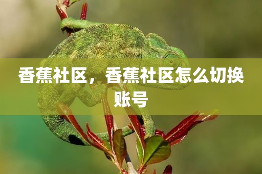 香蕉社区，香蕉社区怎么切换账号