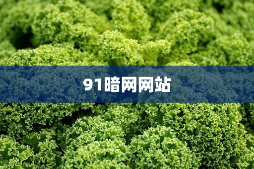 91暗网网站
