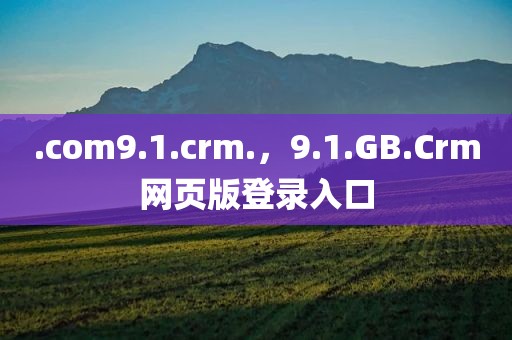 .com9.1.crm.，9.1.GB.Crm网页版登录入口