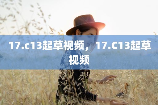 17.c13起草视频，17.C13起草视频