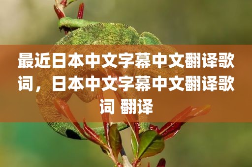 最近日本中文字幕中文翻译歌词，日本中文字幕中文翻译歌词 翻译