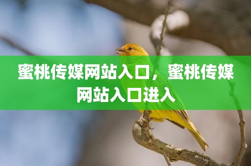 蜜桃传媒网站入口，蜜桃传媒网站入口进入