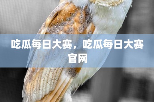 吃瓜每日大赛，吃瓜每日大赛官网