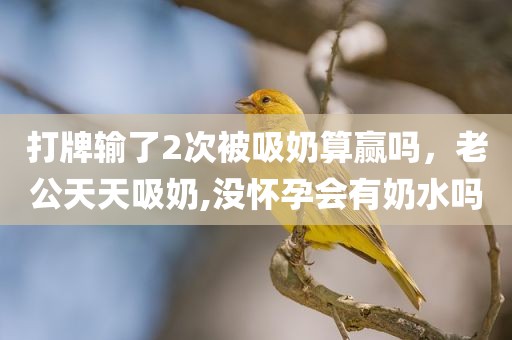 打牌输了2次被吸奶算赢吗，老公天天吸奶,没怀孕会有奶水吗