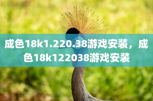 成色18k1.220.38游戏安装，成色18k122038游戏安装