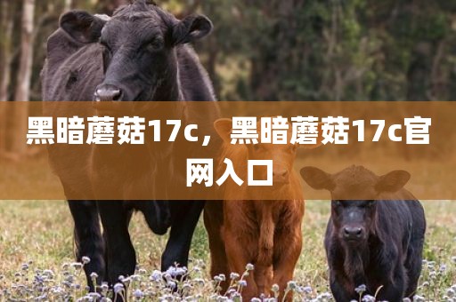 黑暗蘑菇17c，黑暗蘑菇17c官网入口