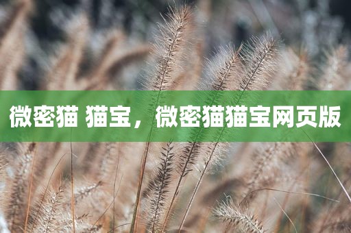 微密猫 猫宝，微密猫猫宝网页版