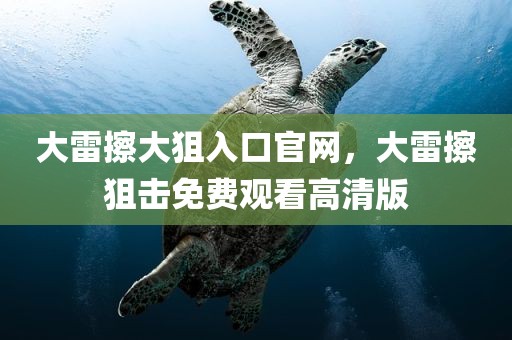 大雷擦大狙入口官网，大雷擦狙击免费观看高清版
