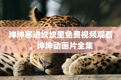 坤坤寒进坎坎里免费视频观看，坤坤动画片全集