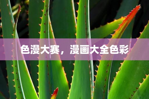 色漫大赛，漫画大全色彩