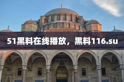 51黑料在线播放，黑料116.su