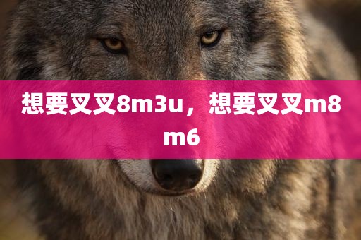 想要叉叉8m3u，想要叉叉m8m6