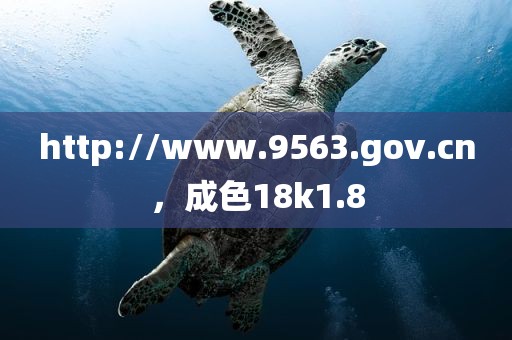 http://www.9563.gov.cn，成色18k1.8