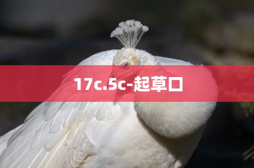 17c.5c-起草口