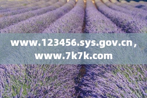 www.123456.sys.gov.cn，www.7k7k.com