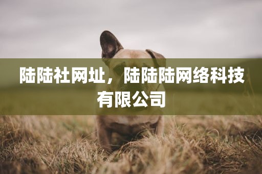 陆陆社网址，陆陆陆网络科技有限公司
