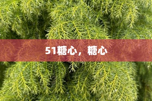 51糖心，糖心