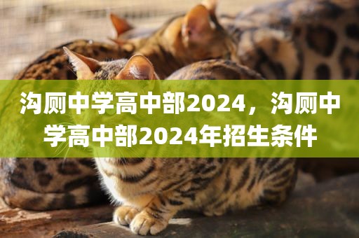 沟厕中学高中部2024，沟厕中学高中部2024年招生条件