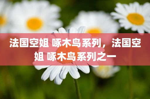 法国空姐 啄木鸟系列，法国空姐 啄木鸟系列之一