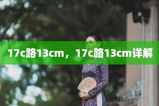 17c路13cm，17c路13cm详解