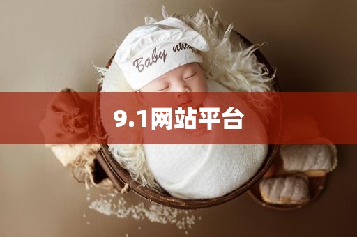 9.1网站平台