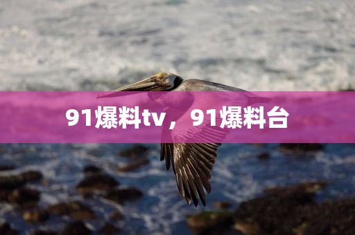 91爆料tv，91爆料台