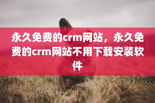 永久免费的crm网站，永久免费的crm网站不用下载安装软件